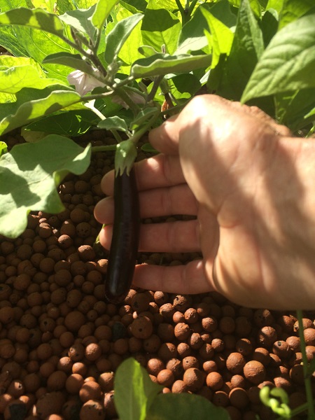 IMG_0938 resized.jpg