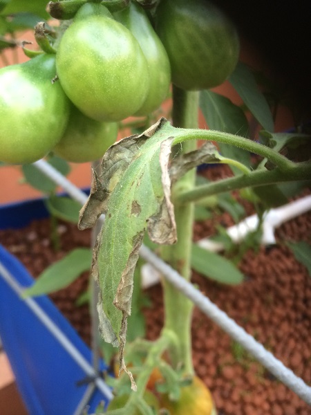 IMG_0947 resized.jpg