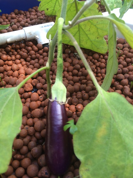 IMG_0934 resized.jpg