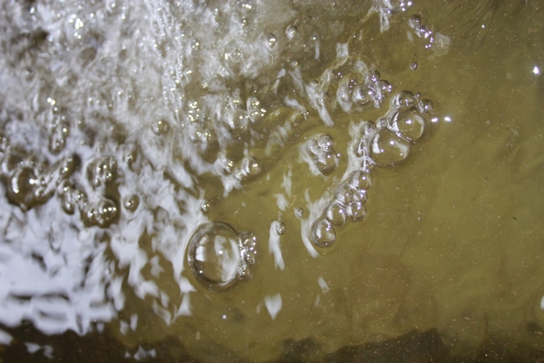 They are in there somewhere! (600x400).jpg