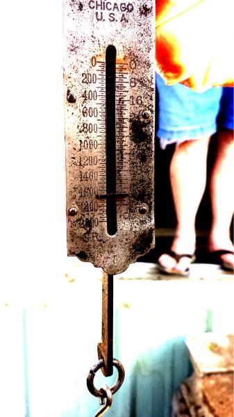 fish 93 copy scale.jpg