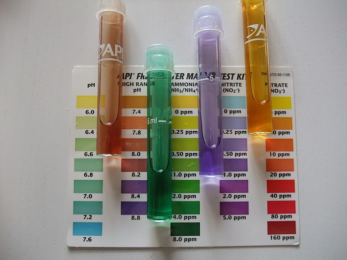 6th May Tests tank 1.jpg