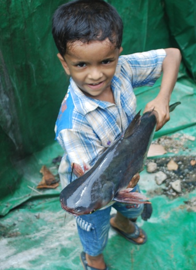 NARDC fish harvest updates 05052014 (11).JPG