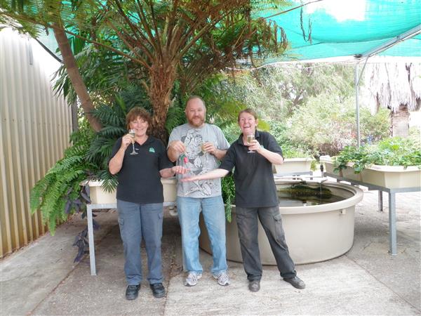 P1010005 (Custom).JPG