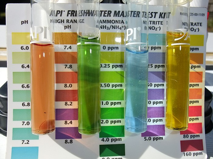 7th May Base Reading Tank 2.jpg