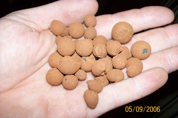 clay balls closeup.jpg