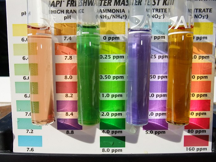 8th May post water change.jpg