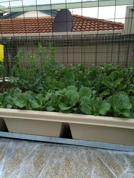 IMG_0968 Resized.jpg