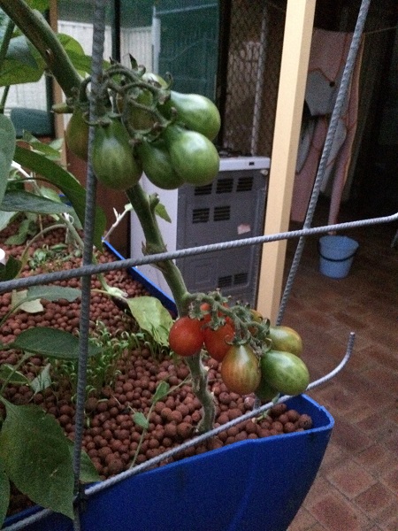 IMG_0969 Resized.jpg