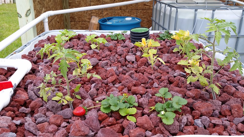 resized - growbed.jpg