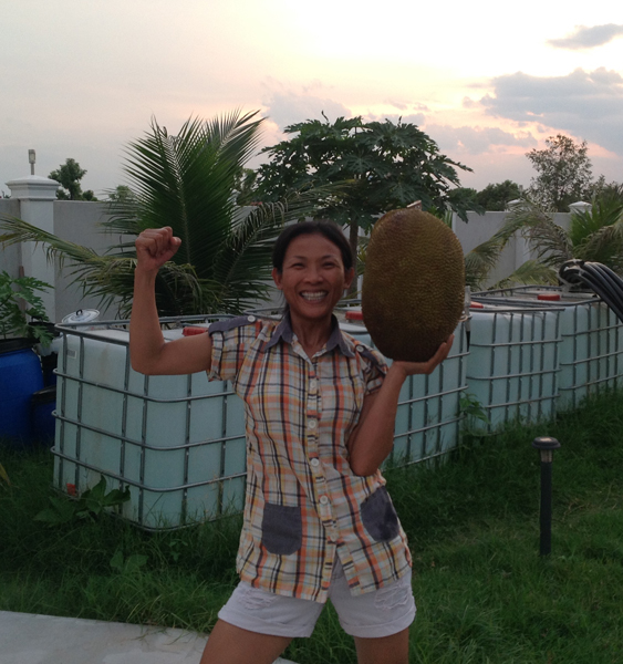First Jackfruit of the season.jpg