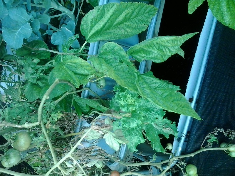 2014-05-14 07.33.57.jpg