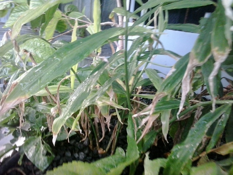 2014-05-14 07.34.43.jpg