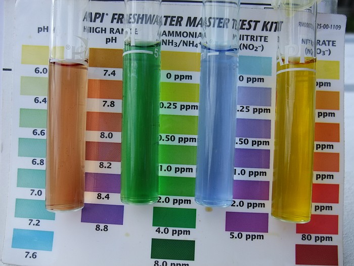 16th May 2014 Tank 2.jpg