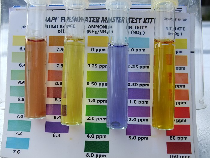 16th May 2014 Tank 1.jpg