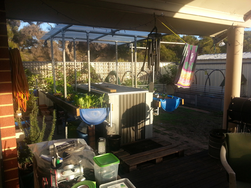 2014-05-15-07.45 copy.jpg