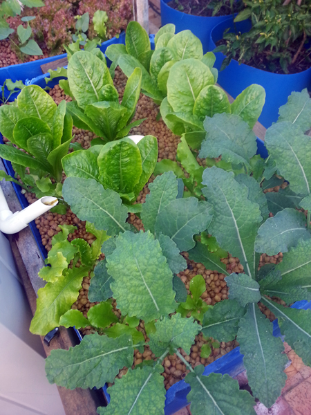 2014-05-15-07.45a copy.jpg