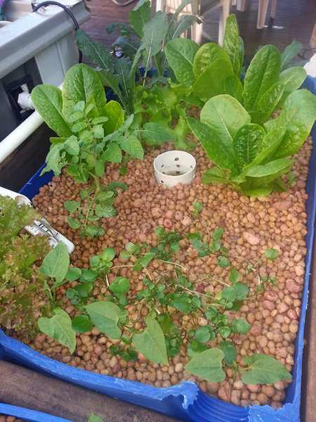 2014-05-16-17.06 copy.jpg