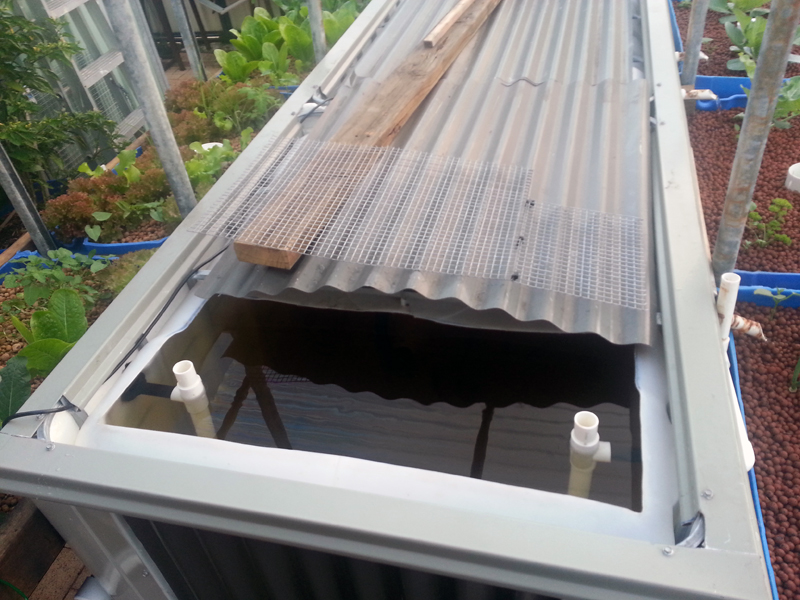 2014-05-16-17.13a copy.jpg