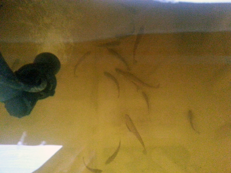 2014-05-16-17.09 copy.jpg