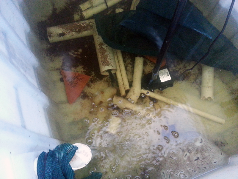 2014-05-16 17.16.44.jpg