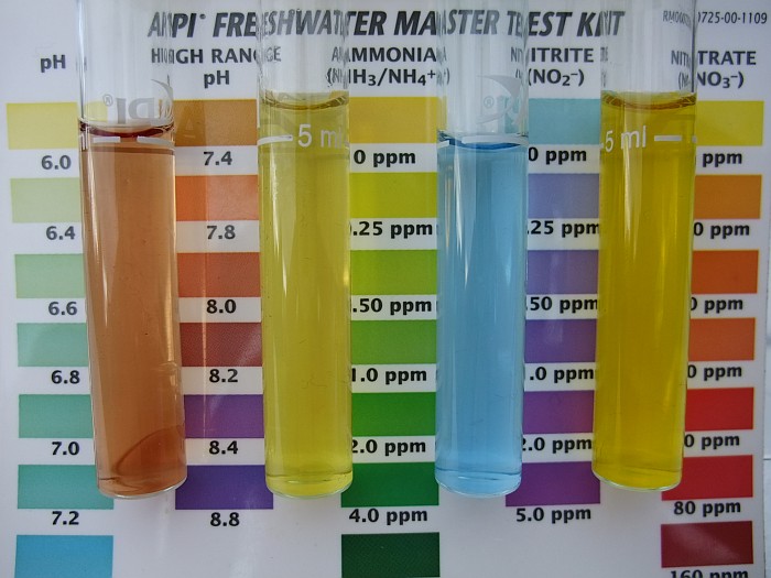 17th May 2014 Tank 1 day post feeding.jpg