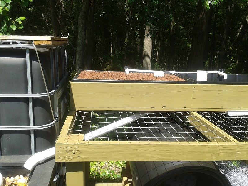 Yet another expansion.jpg