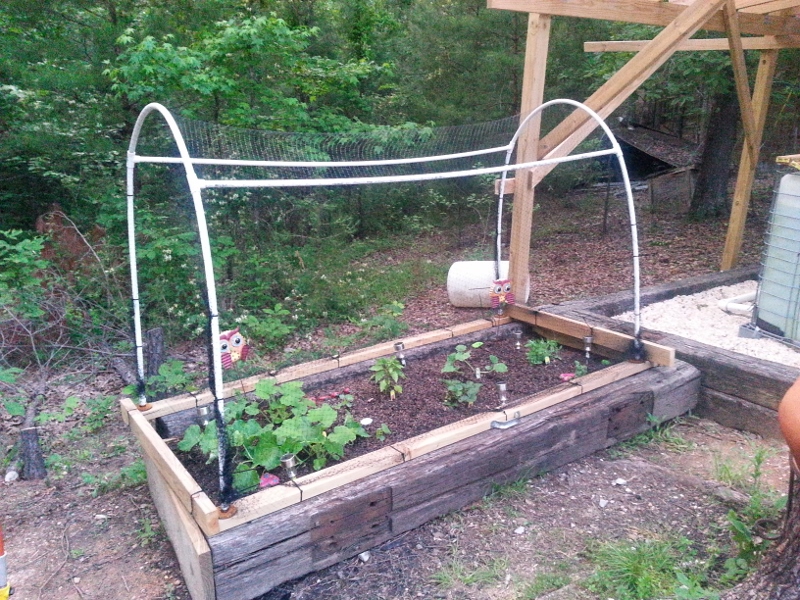 20140517_193309 (800x600).jpg