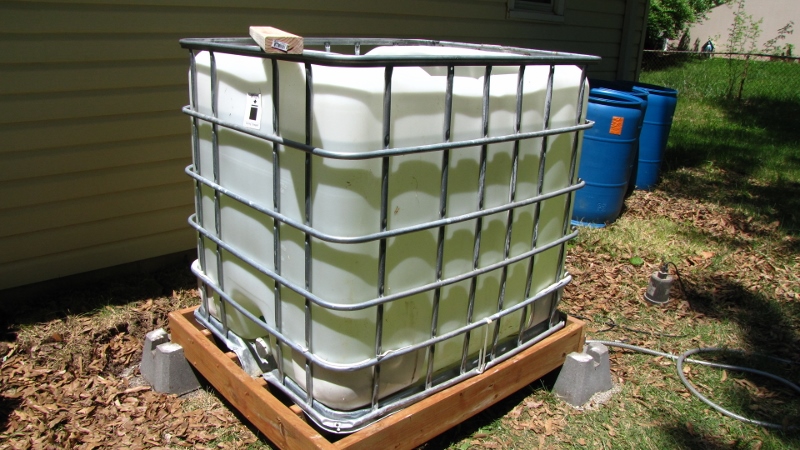 IMG_9602 (800x450).jpg