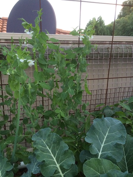 IMG_0998 Resized.jpg