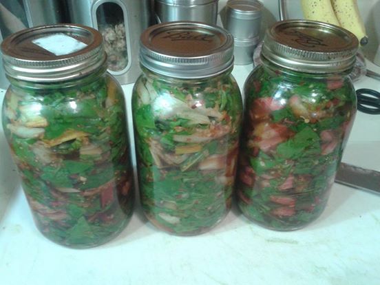 Chard Kimchi.jpg