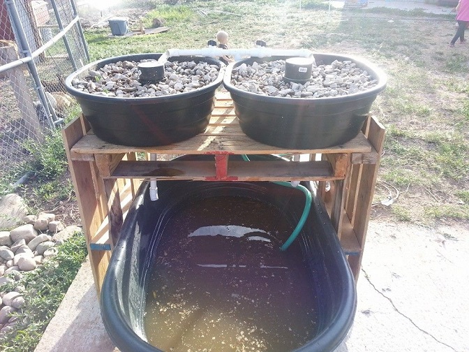 Aquaponics2.jpg