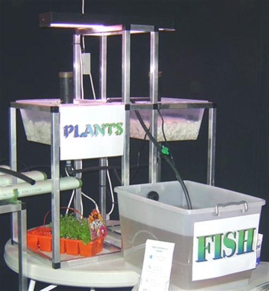 classkit1 (Medium).jpg