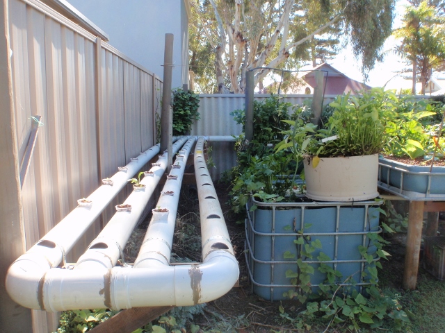 P5210003 (640x480).jpg