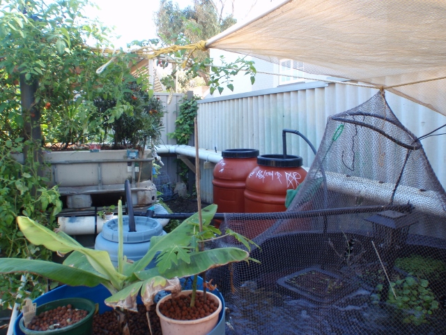 P5210004 (640x480).jpg