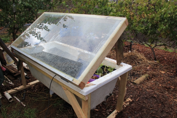 Coldframe 3.jpg