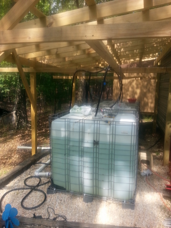 20140525_153521 (600x800).jpg