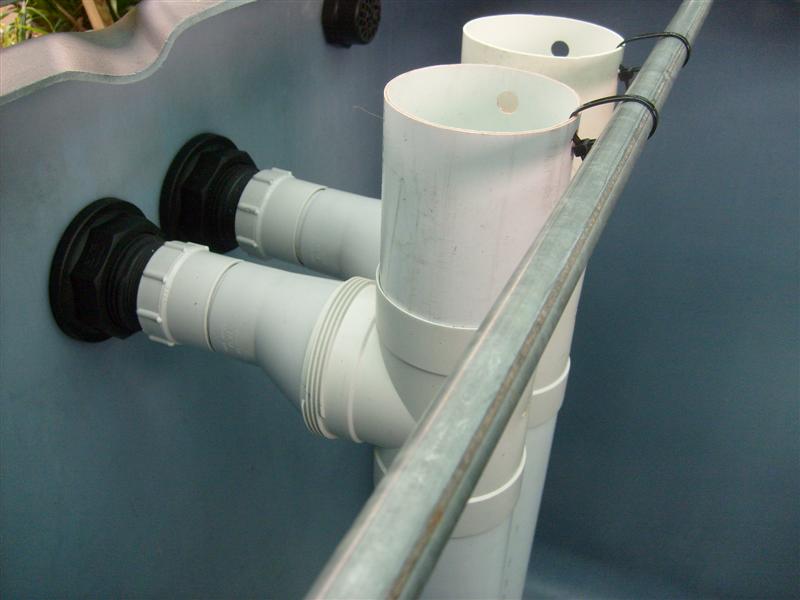 S6303088 (Medium).JPG