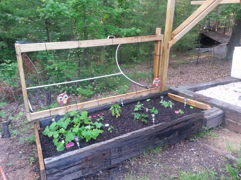 20140518_181247 (800x600).jpg