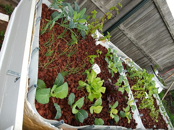 growth 27th May 2014.jpg