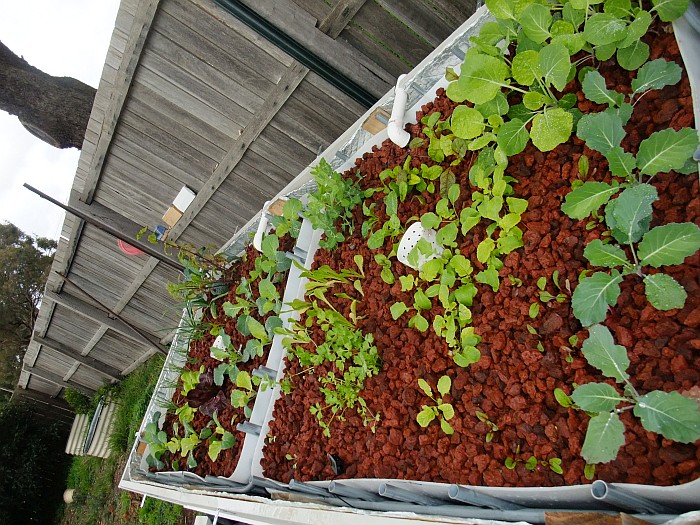 growth to 27th May 2014.jpg