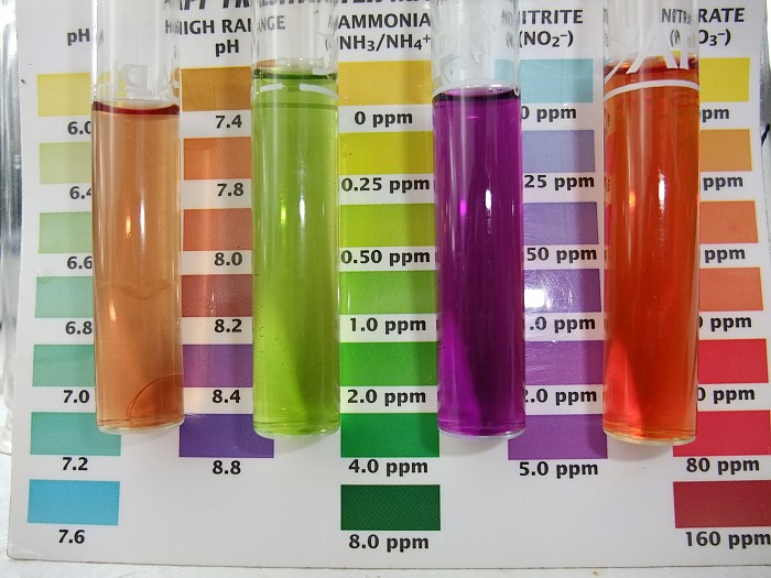 Tank 2 27th May 2014.jpg