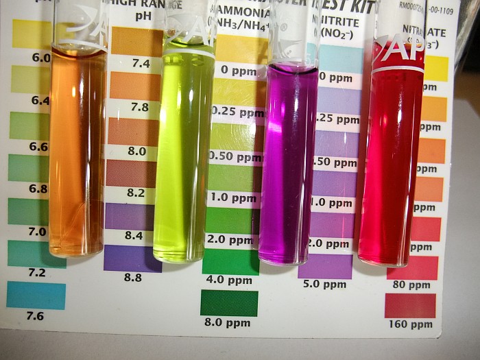 Tank 2 28th May 2014.jpg