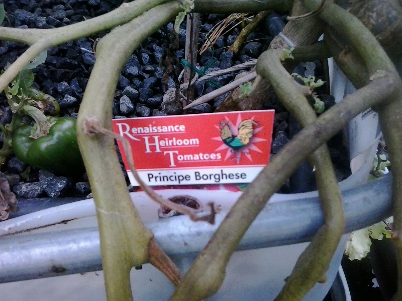 2014-05-26 07.23.34.jpg