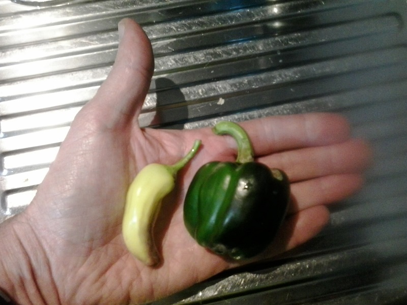 2014-05-21 17.49.52.jpg