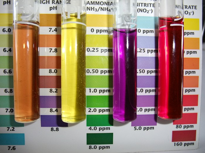 Tank 2 30th May 2014.jpg