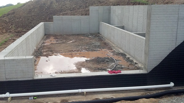 greenhouse walls.jpg