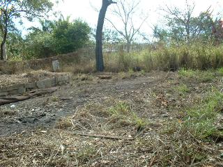 before the bobcat comes to visit.jpg