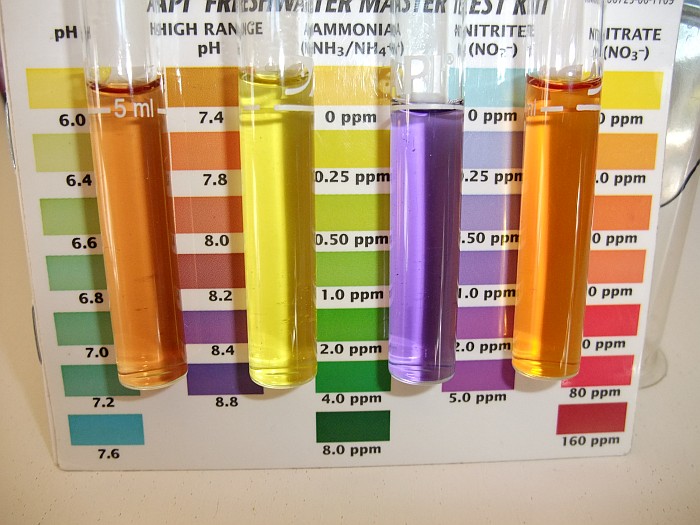 Tank 2 2nd June 2014.jpg