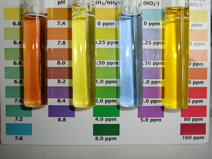 Tank 1 3rd June 2014.jpg